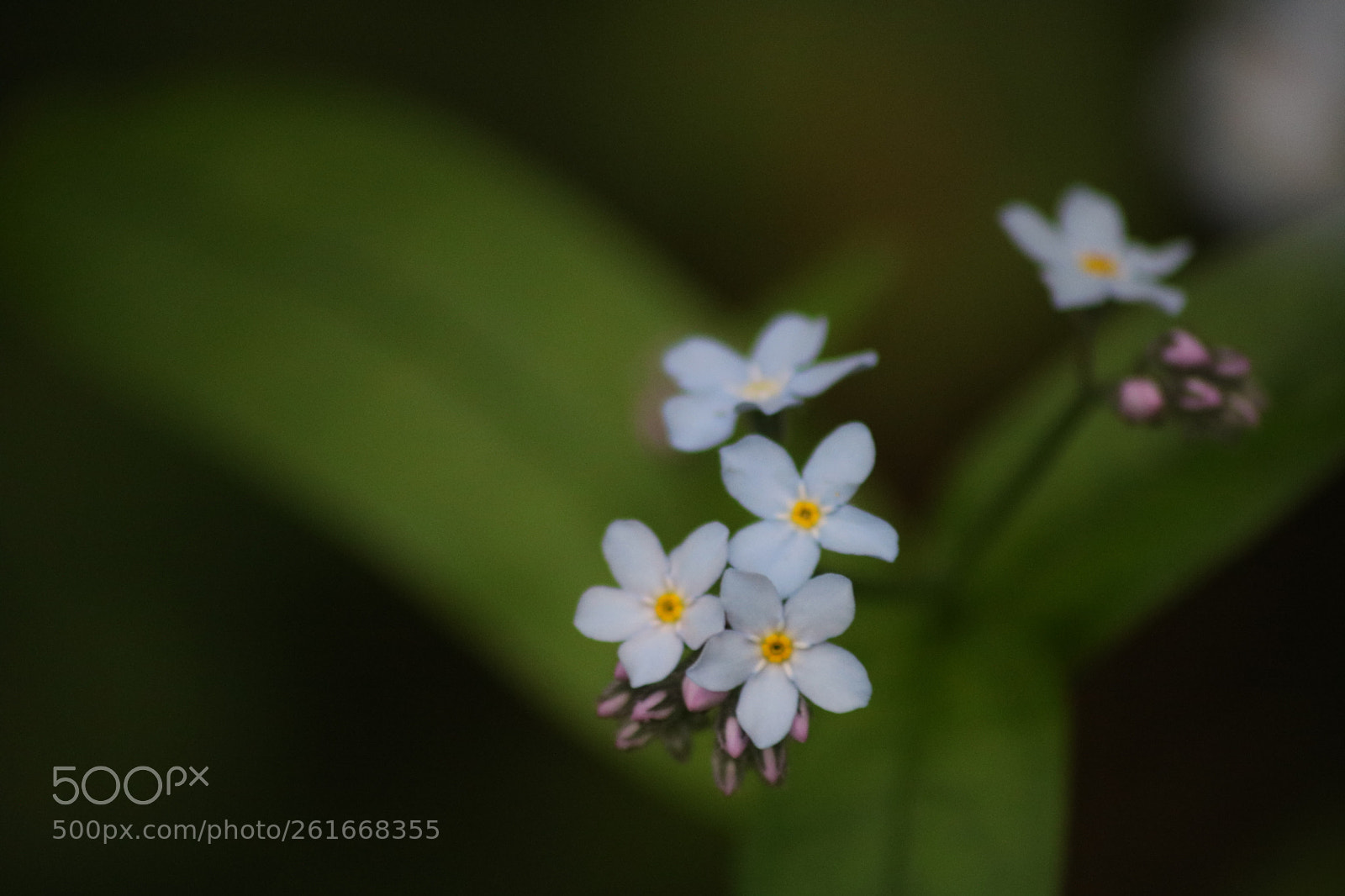 Canon EOS 750D (EOS Rebel T6i / EOS Kiss X8i) sample photo. Untitled photography