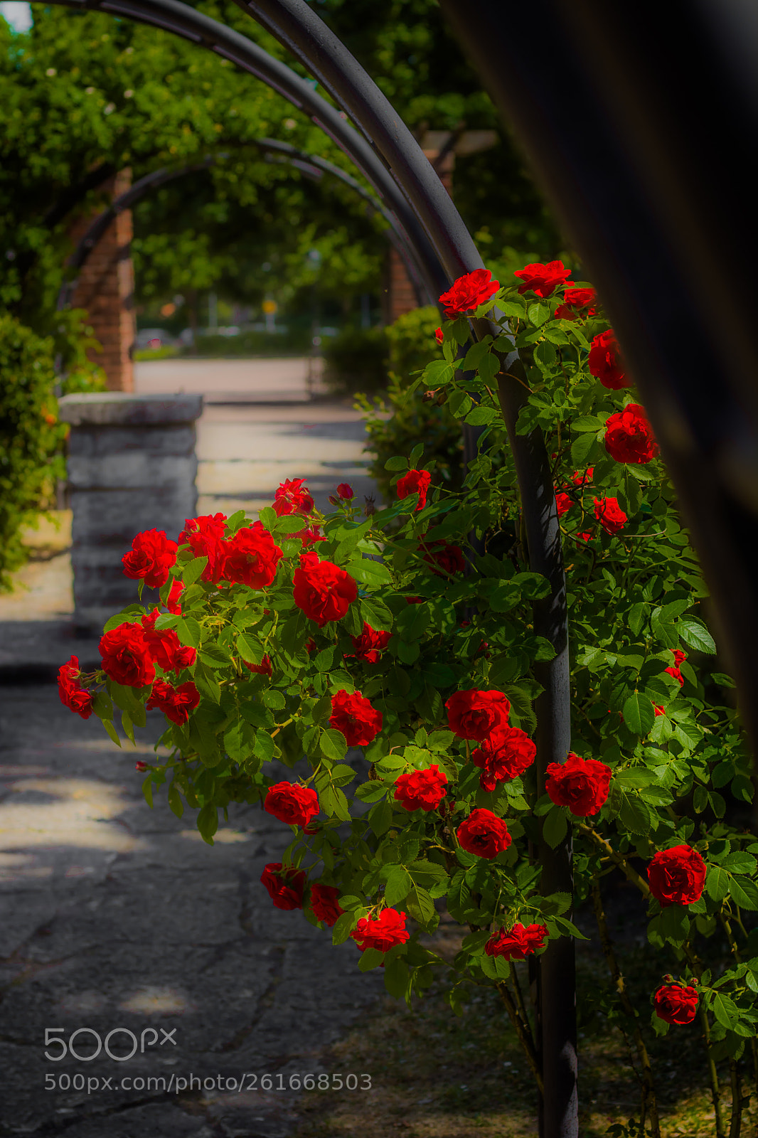 Nikon D5200 sample photo. ...... photography