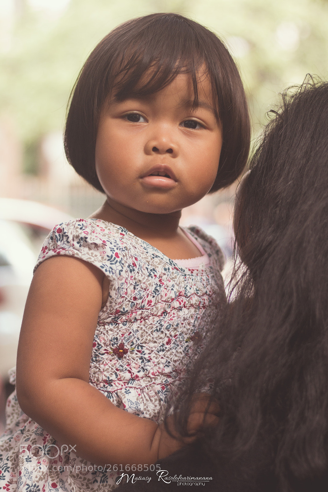 Canon EOS 70D sample photo. Mg photography