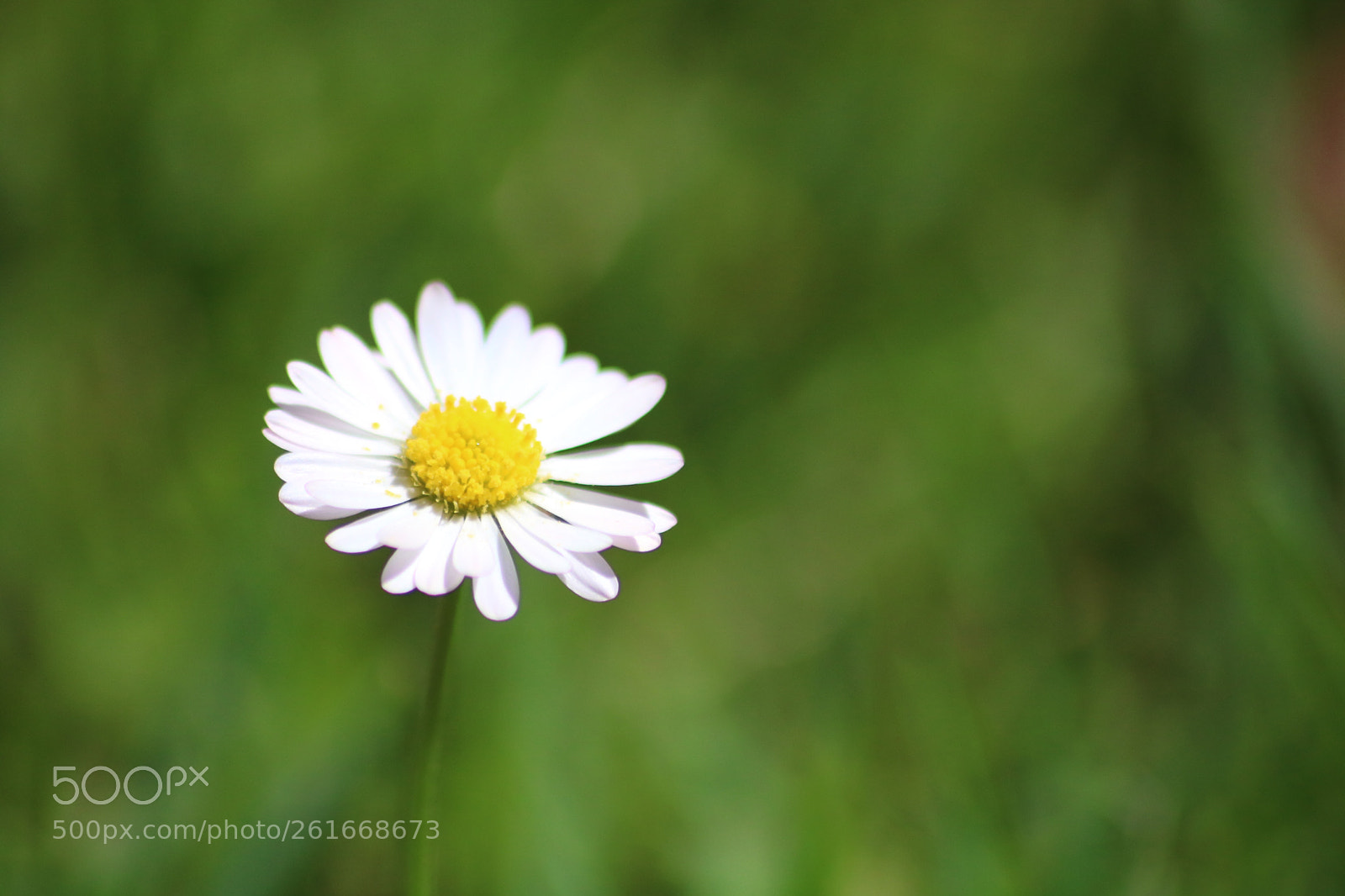 Canon EOS 750D (EOS Rebel T6i / EOS Kiss X8i) sample photo. Untitled photography