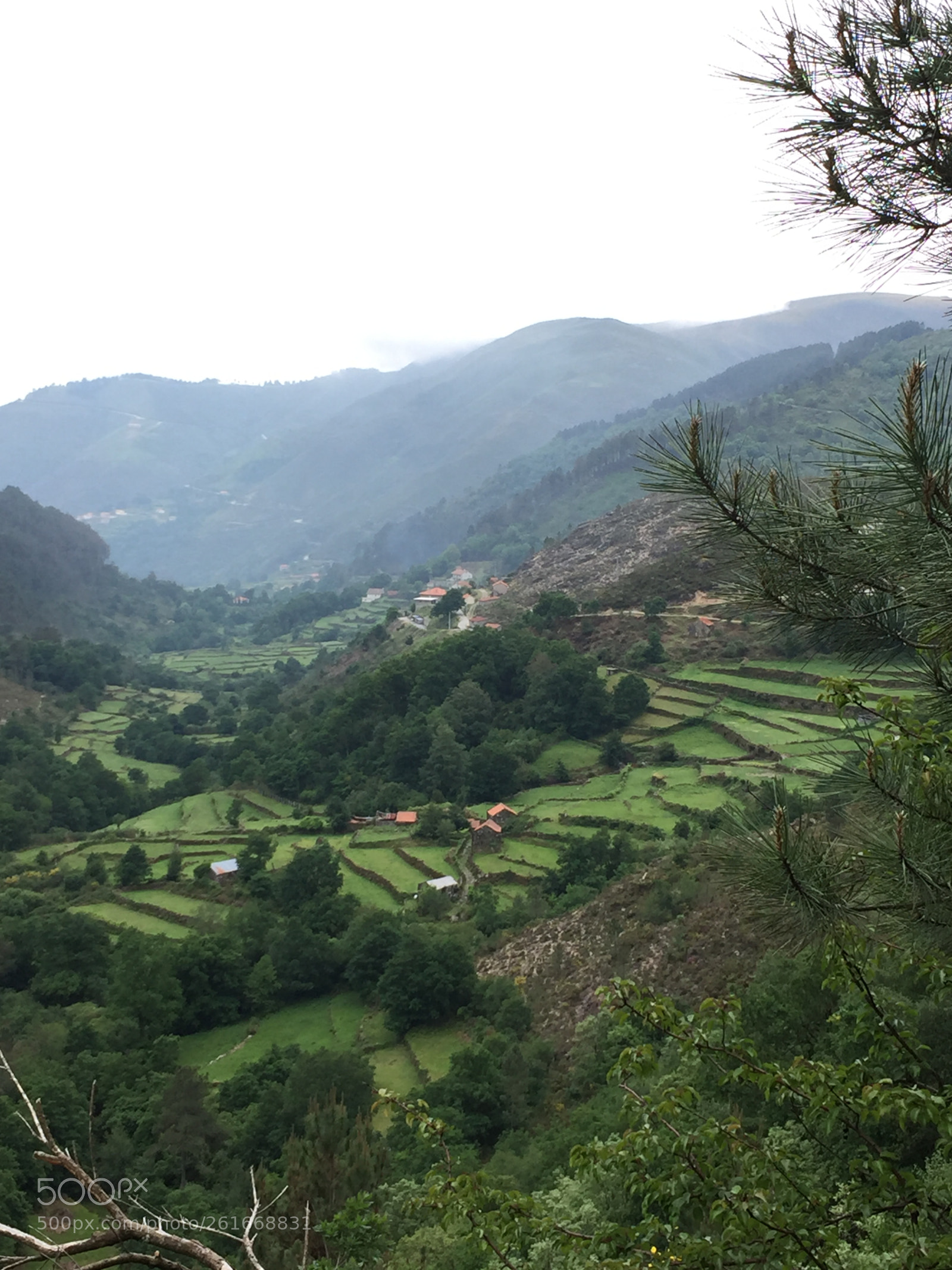 Apple iPhone 6 Plus sample photo. On drive between sao photography