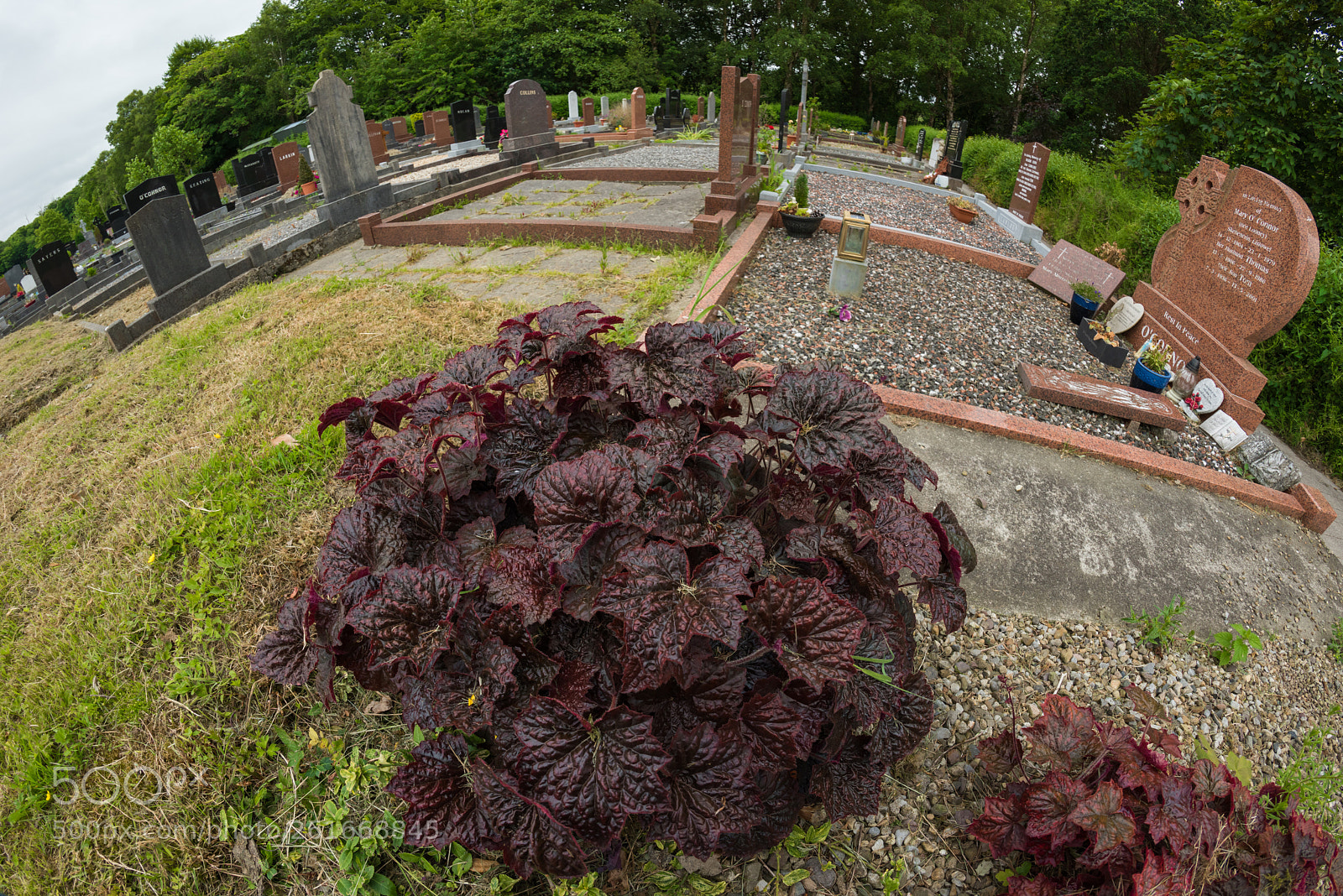 Nikon D810 sample photo. Obstruction photography