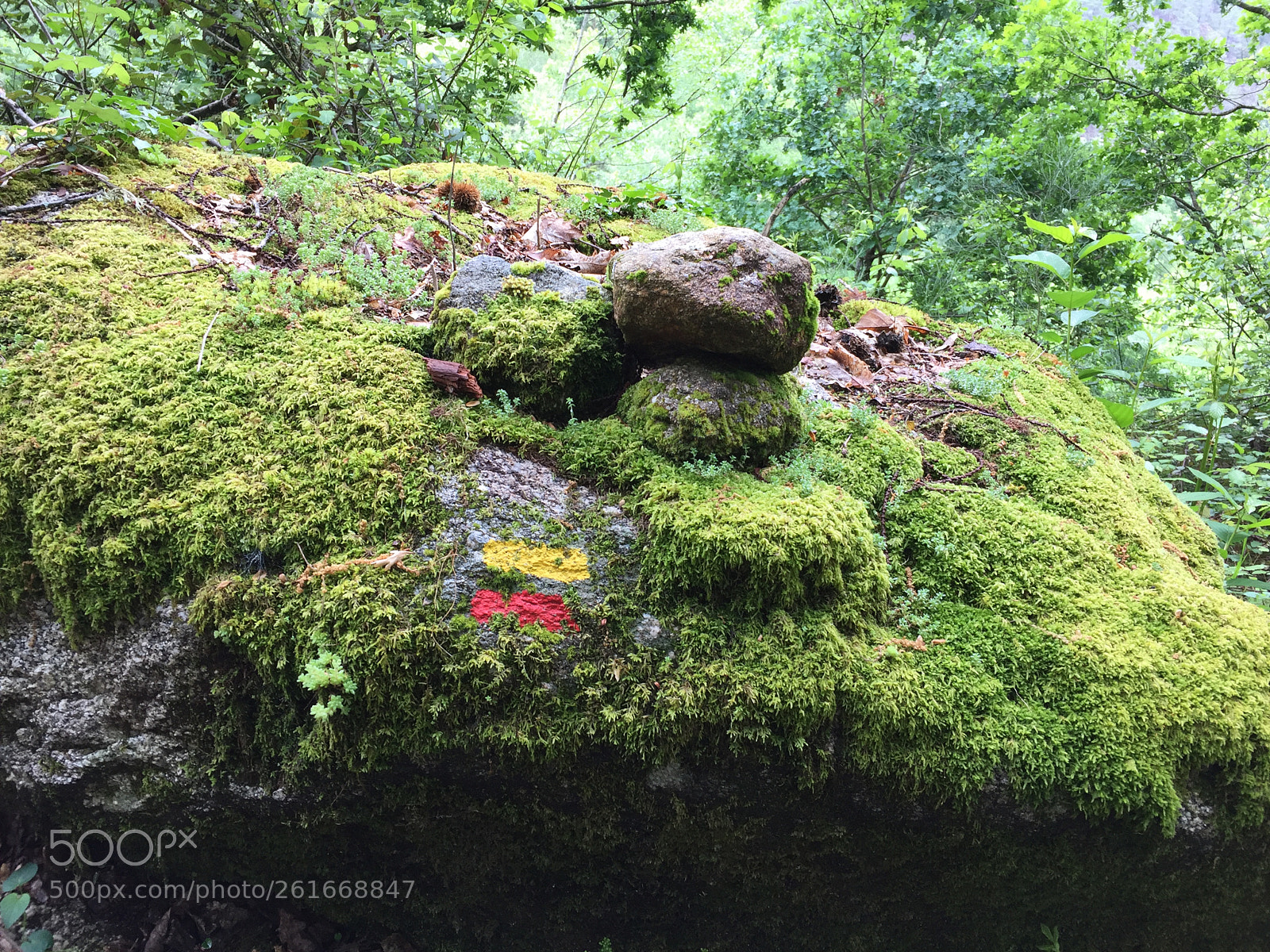 Apple iPhone 6 Plus sample photo. Trail marker between gaviera photography