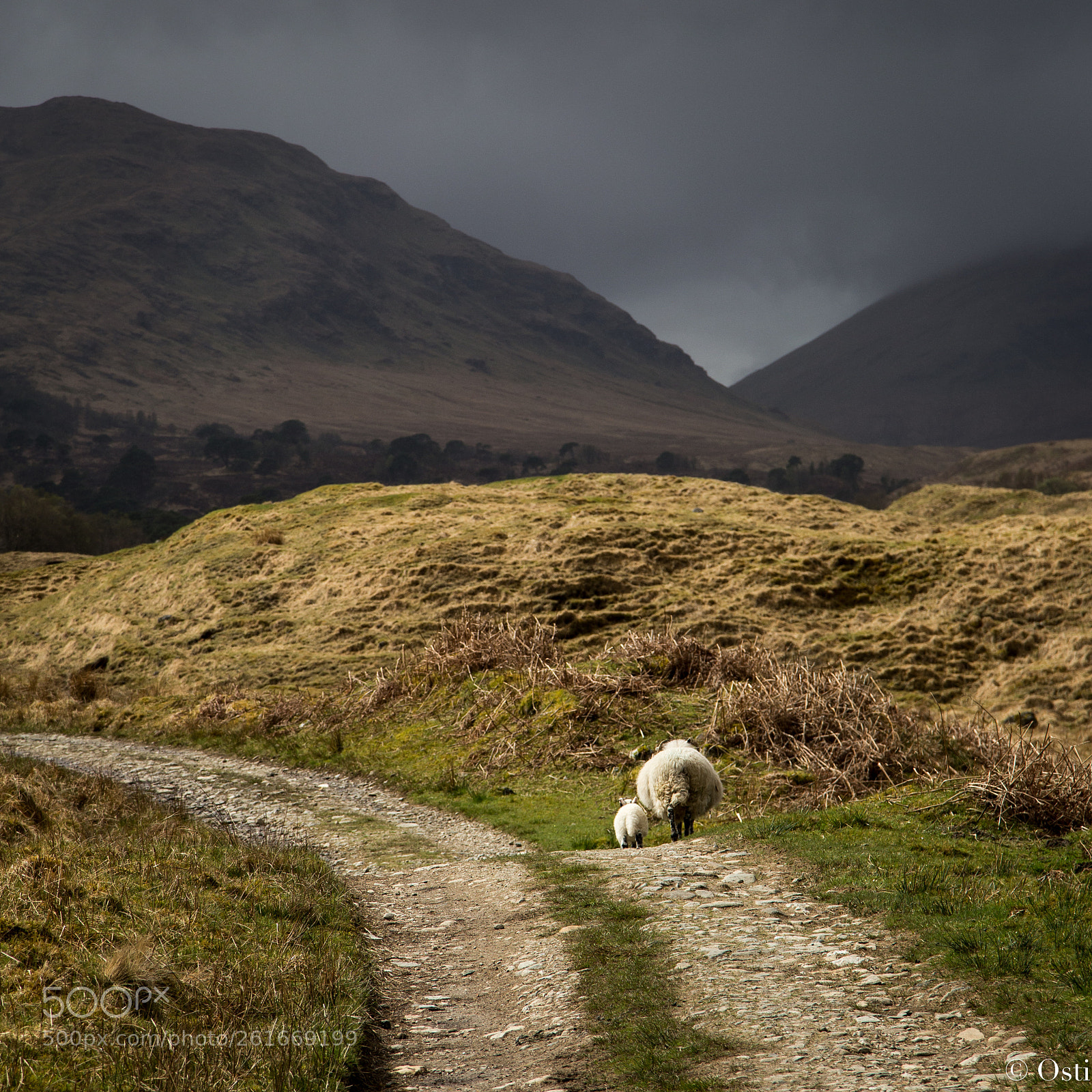 Canon EOS 6D sample photo. Scotland photography