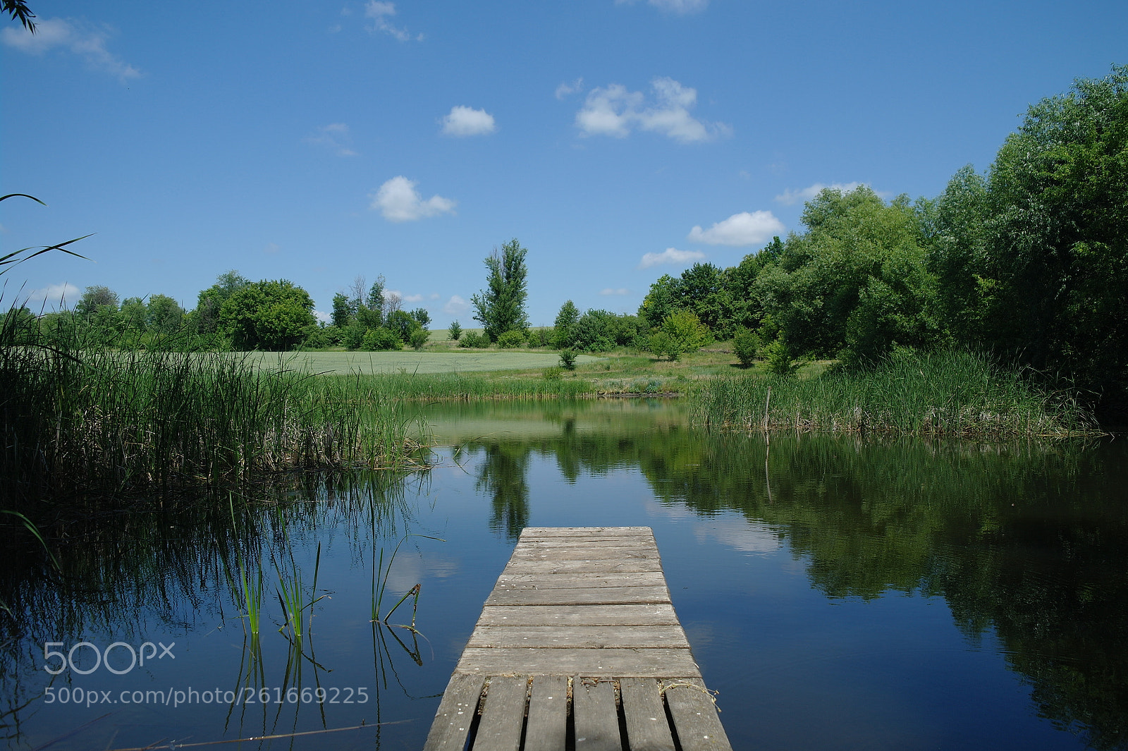 Samsung NX5 sample photo. Pond photography