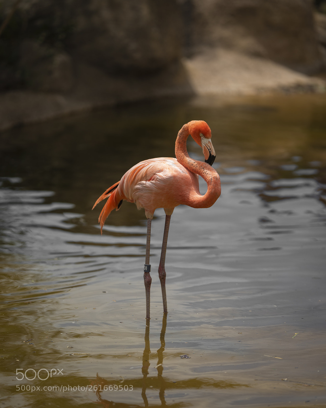 Nikon D750 sample photo. Standing around photography