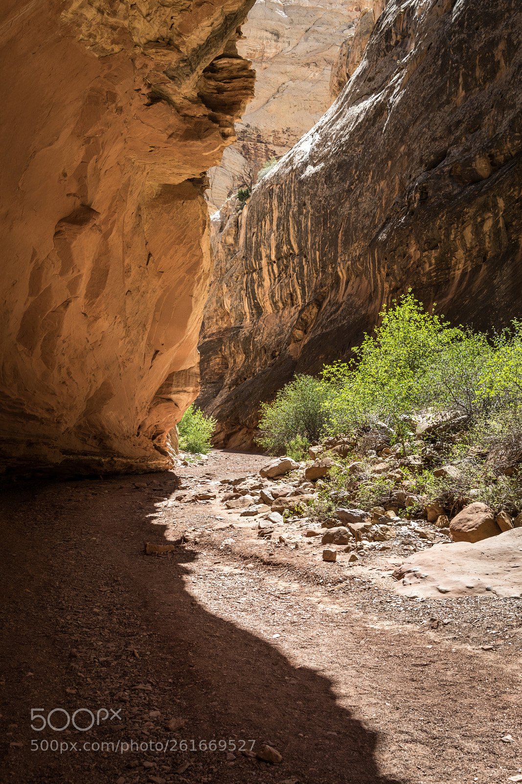 Nikon D850 sample photo. Grand wash trail photography