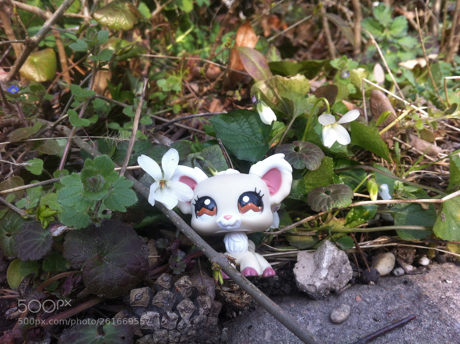 Apple iPhone 4 sample photo. Lps photography