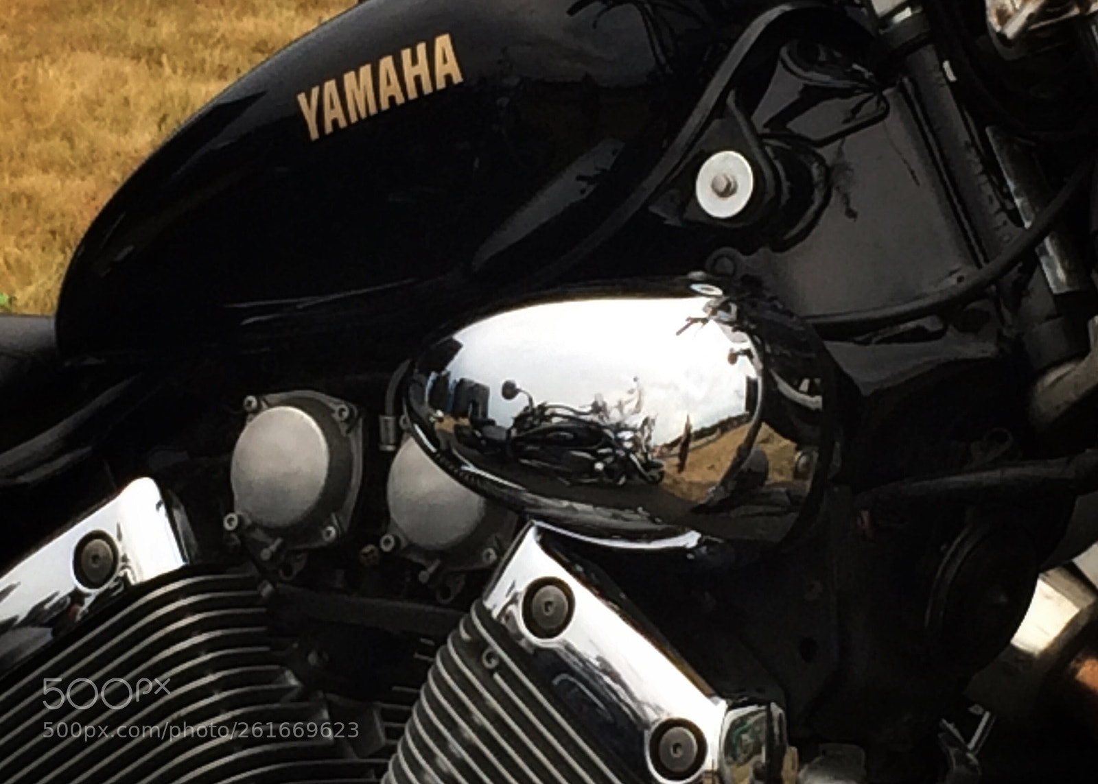 Apple iPhone 5s sample photo. Untitled photography