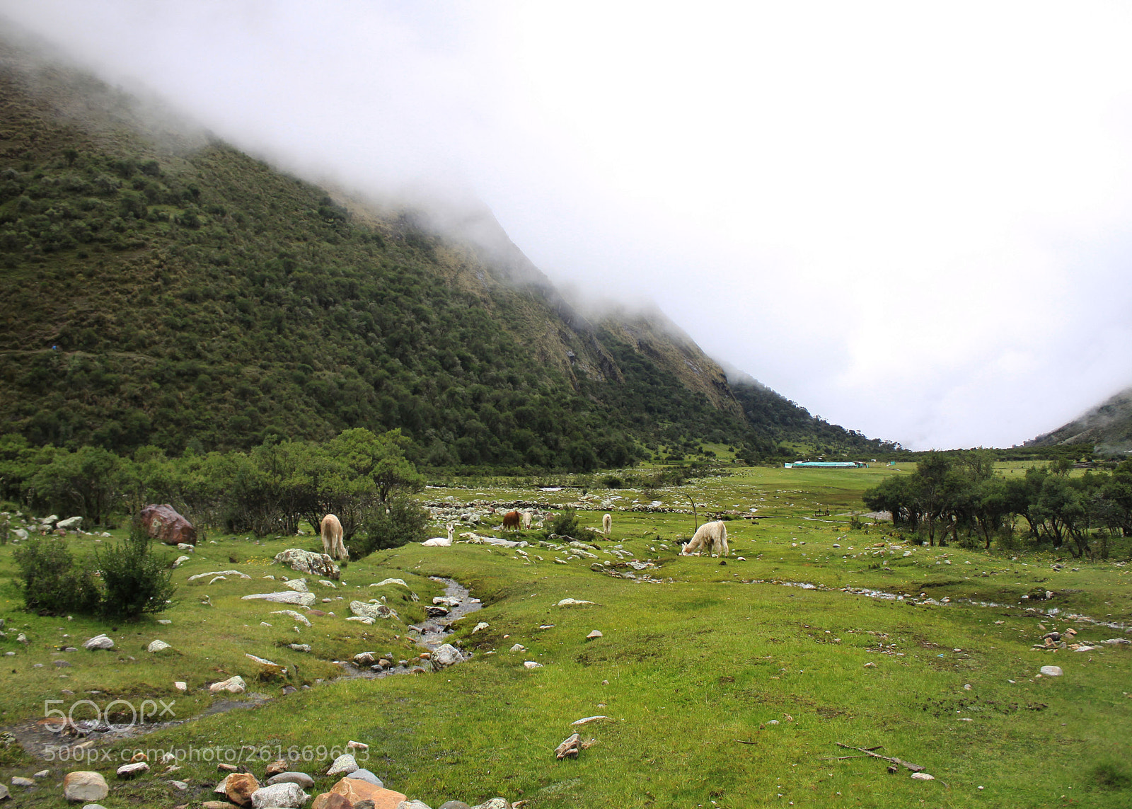 Canon EOS 50D sample photo. Quiet place photography