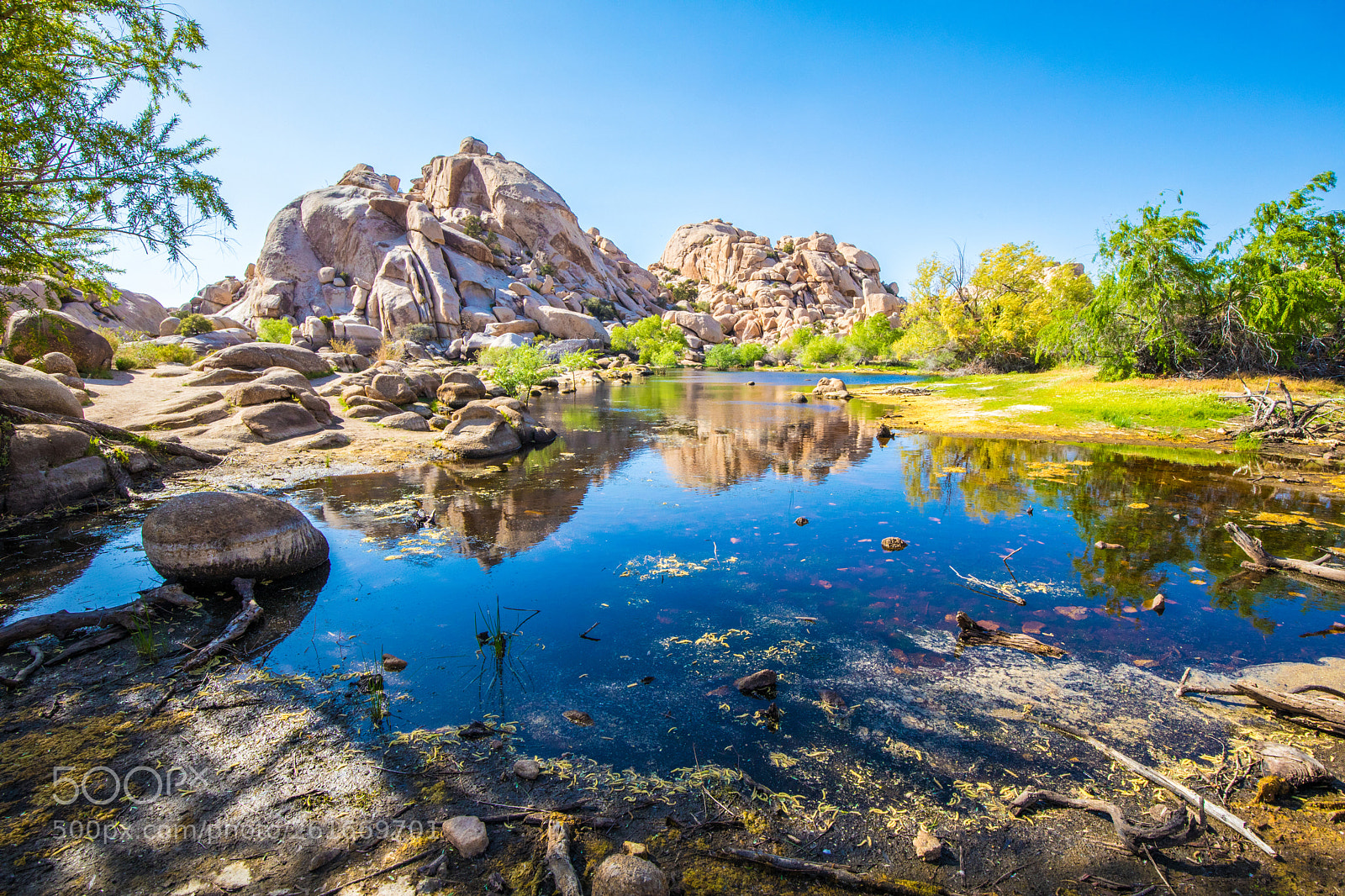 Canon EOS 5D Mark IV sample photo. Barker dam, joshua tree photography