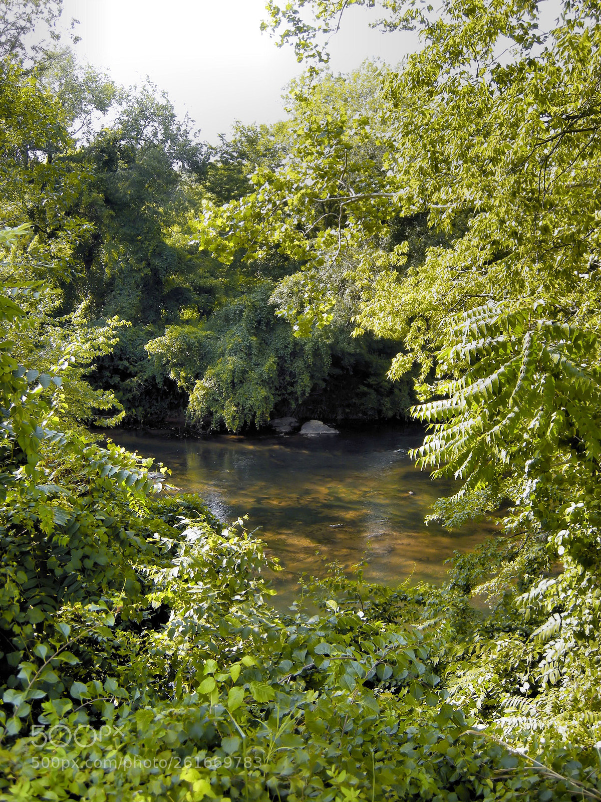 Nikon COOLPIX P5100 sample photo. Rivanna river photography