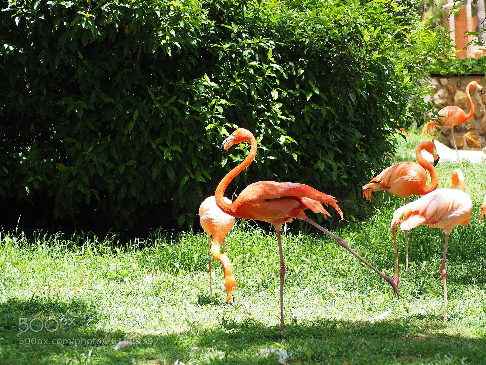 Olympus OM-D E-M10 II sample photo. Stretching time photography