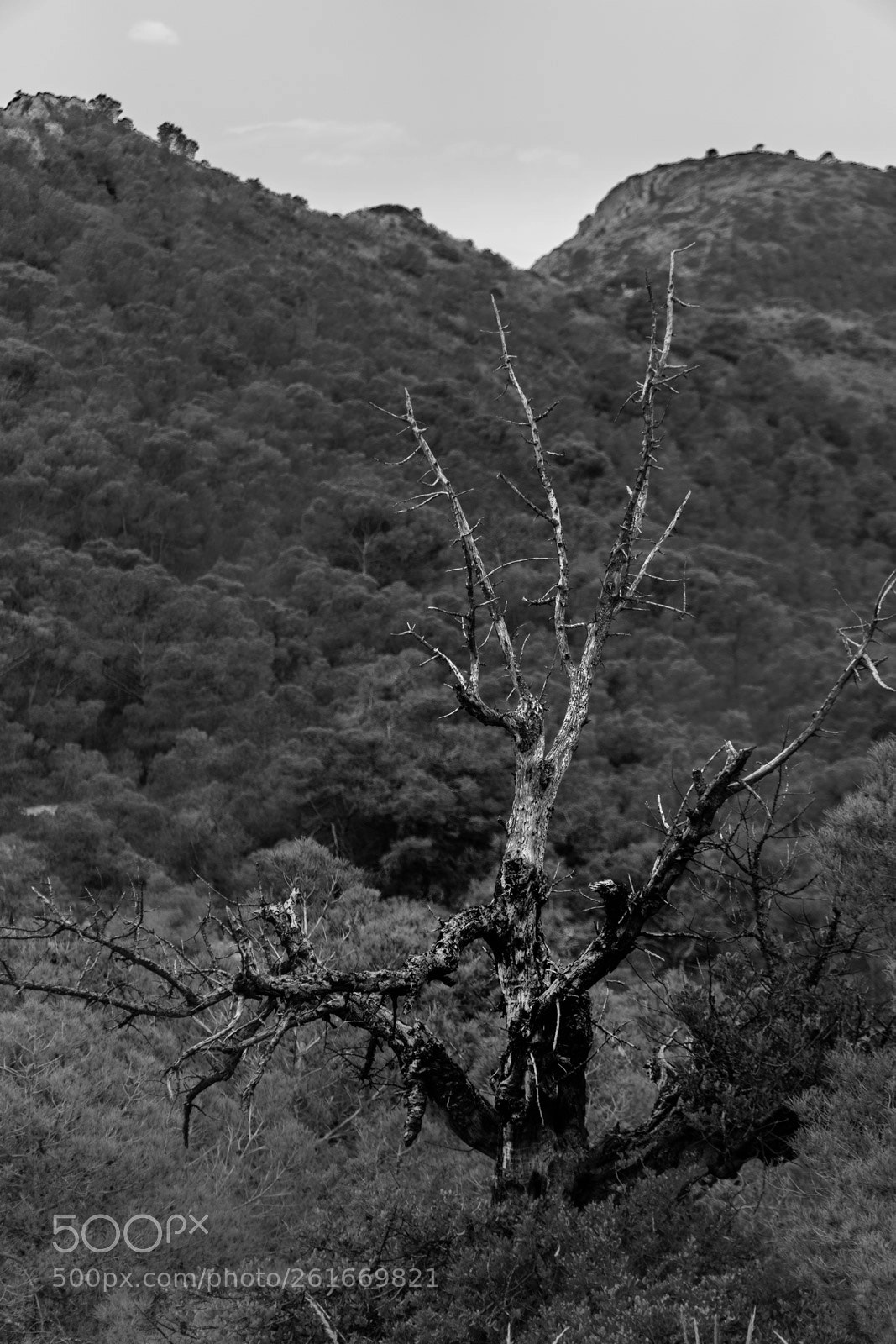 Sony a6500 sample photo. Still standing above the photography