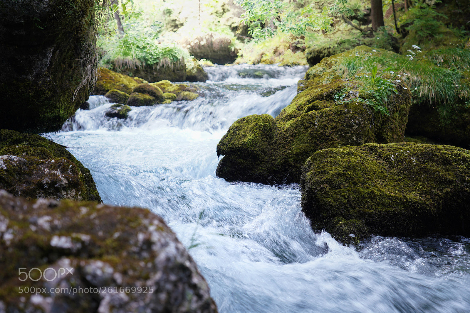 Sony a7R III sample photo. Untitled photography