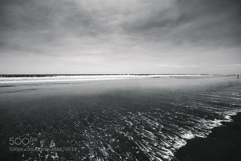Fujifilm X-T10 sample photo. Costa rica | b&w (15) photography