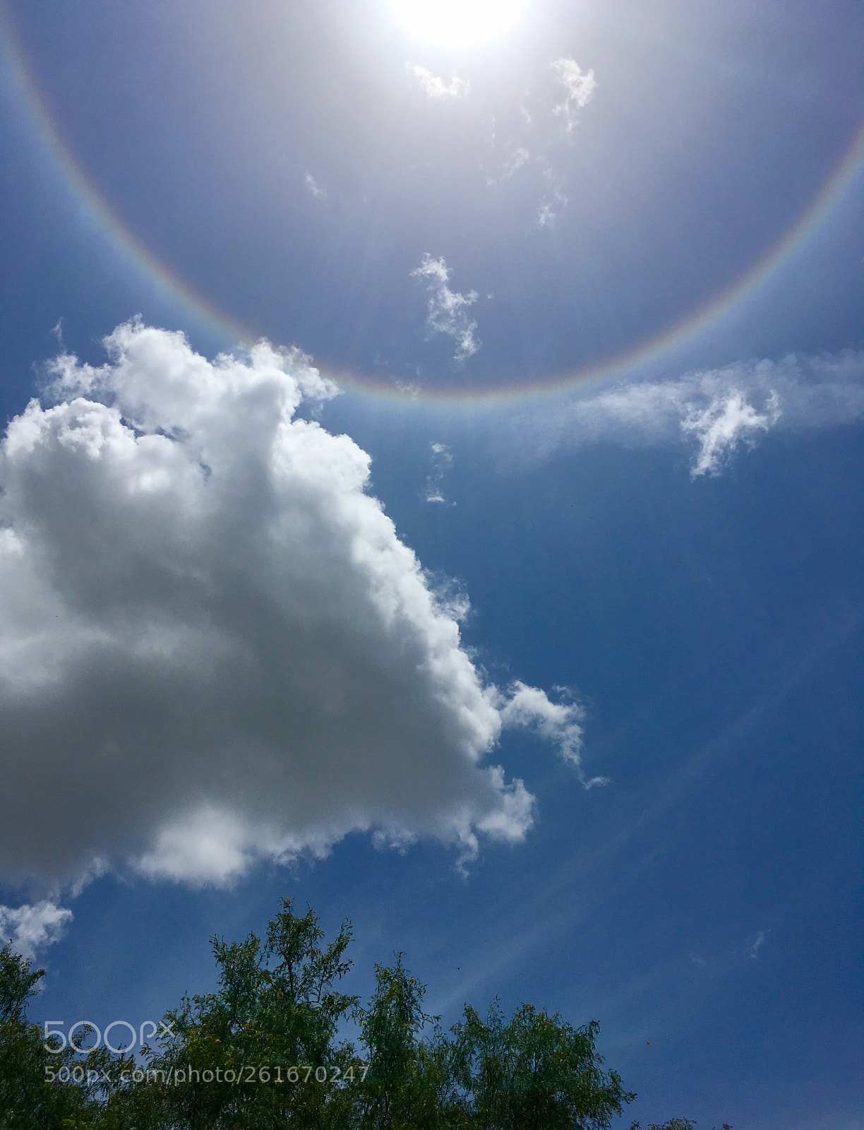 Apple iPhone SE sample photo. Sun halo. photography