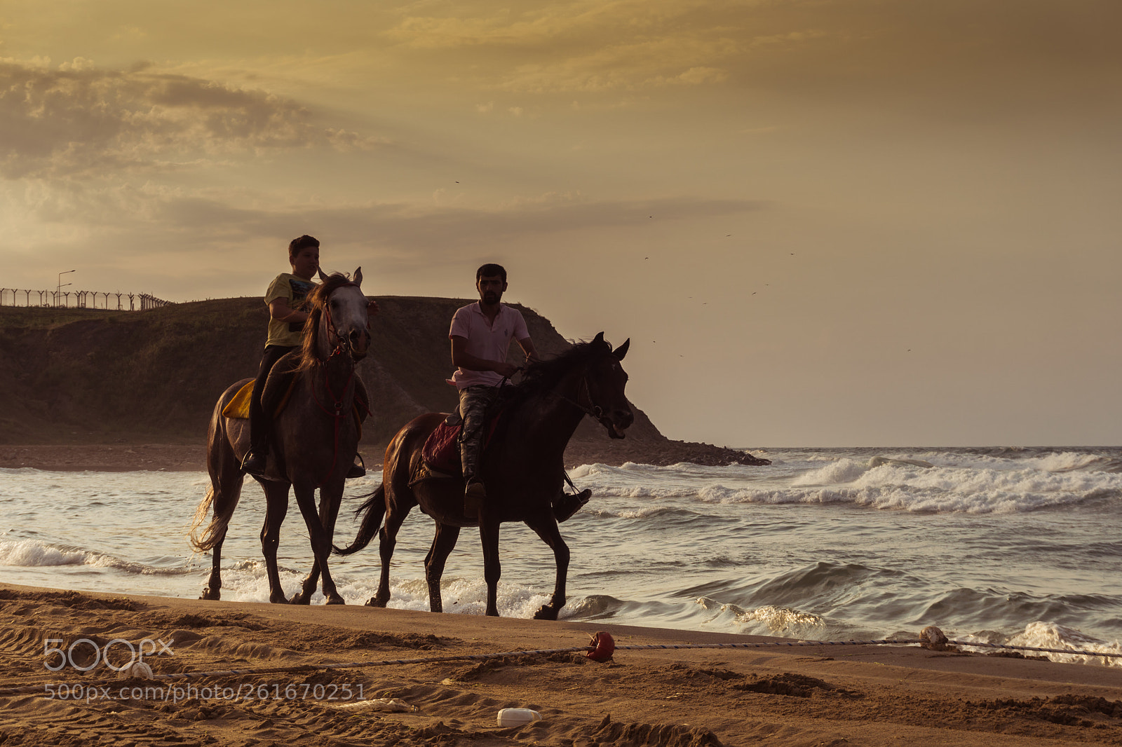 Sony a6300 sample photo. Sunset&horse photography