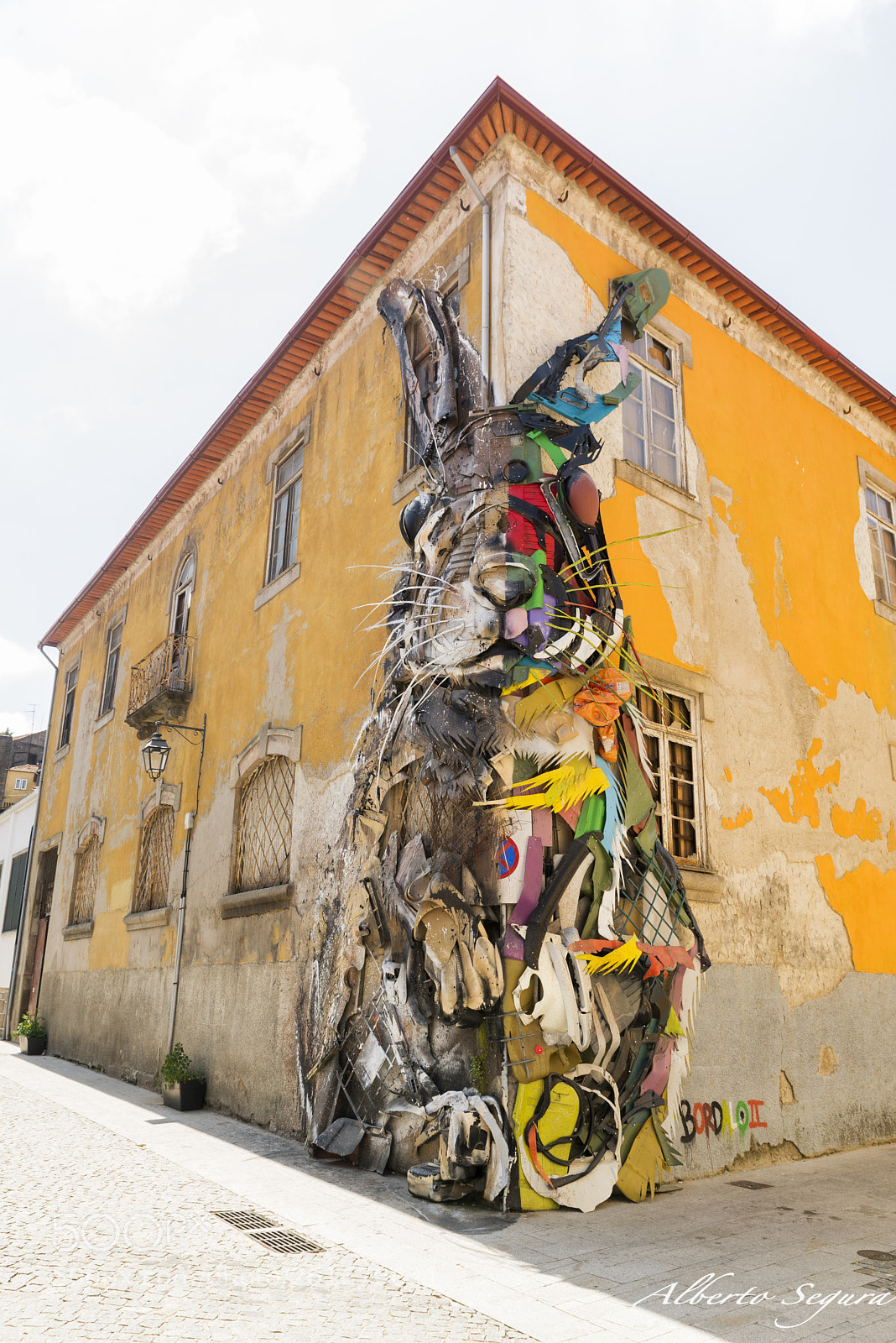 Nikon D610 sample photo. Rabit photography