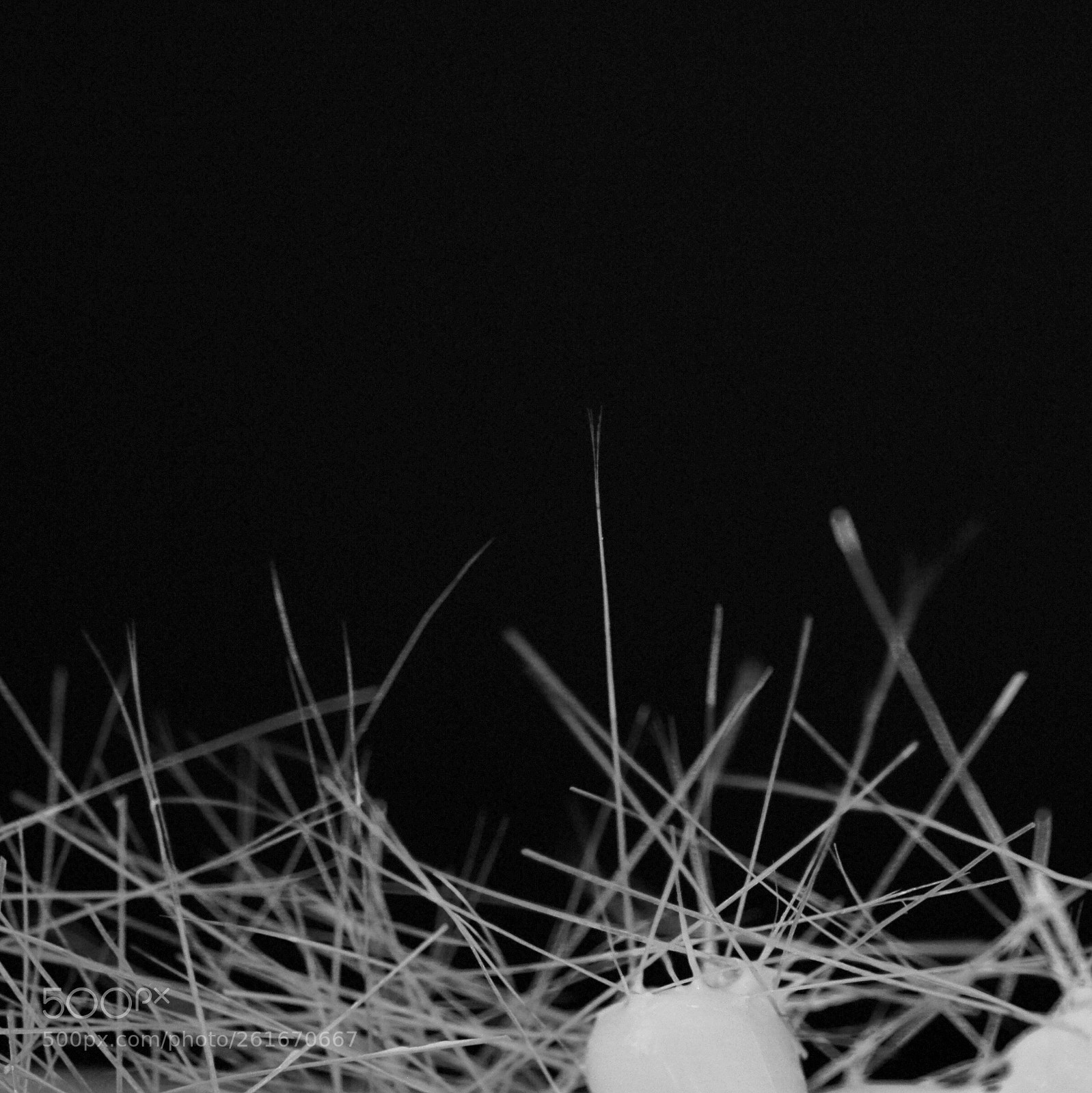 Pentax K-30 sample photo. Atomized brush and paint photography