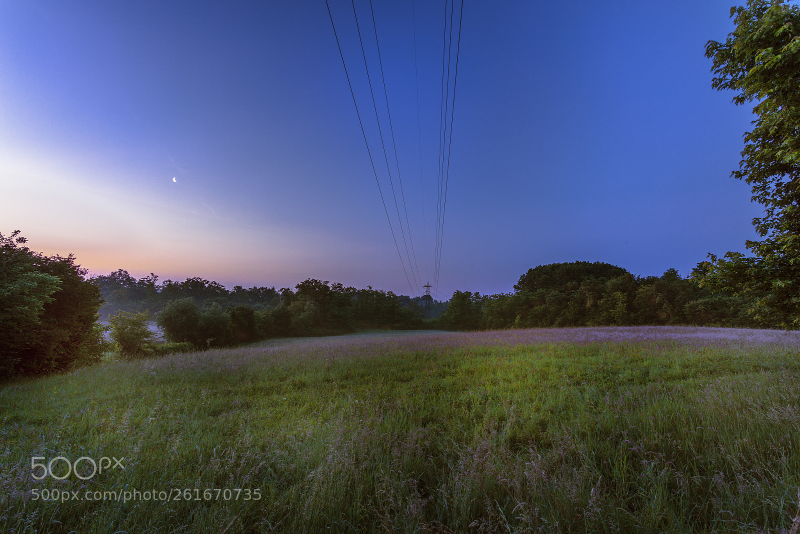 Canon EOS 5DS R sample photo. Not so wilde photography