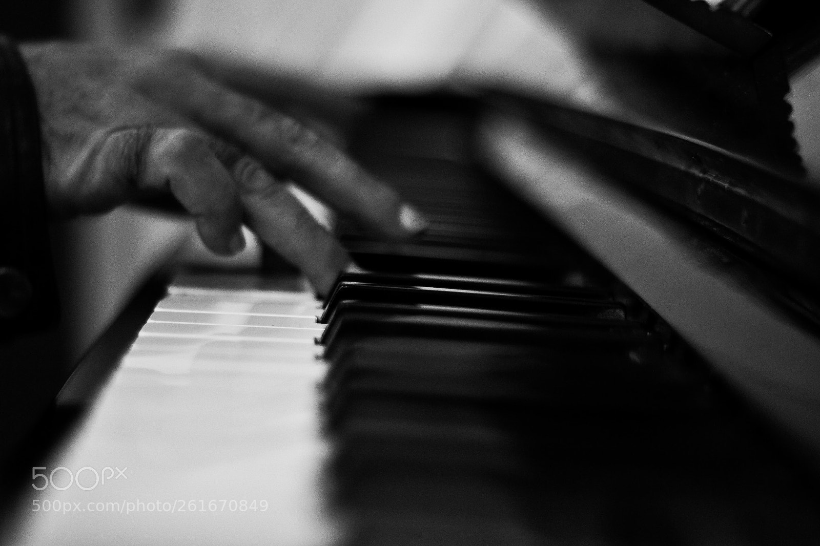 Nikon D3100 sample photo. Untitled photography