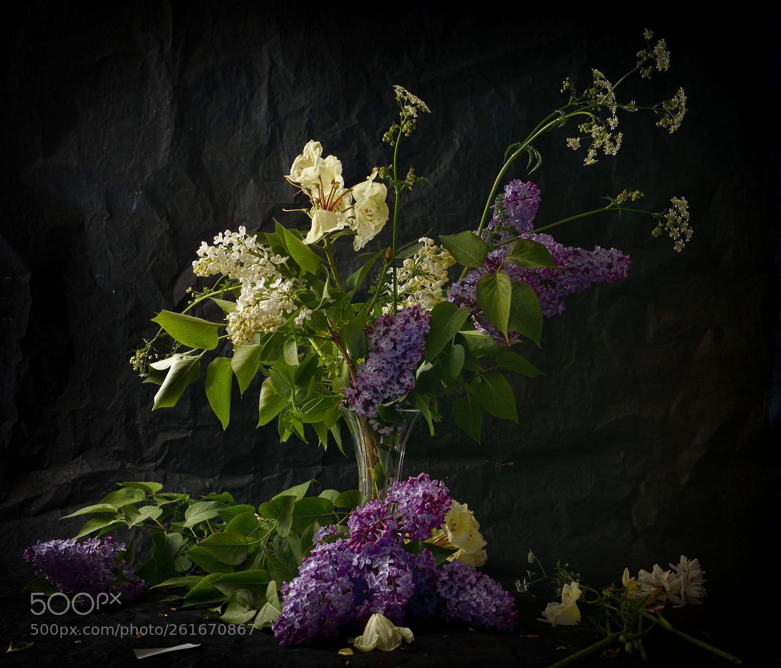 Nikon D800 sample photo. Untitled photography