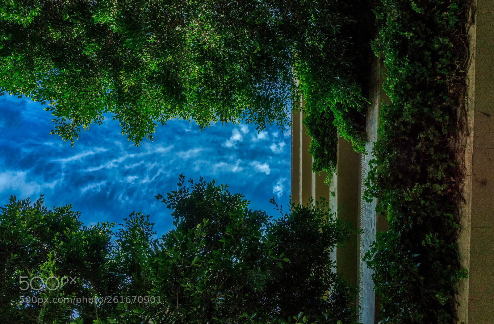Pentax K-3 II sample photo. Parking garage vs nature photography