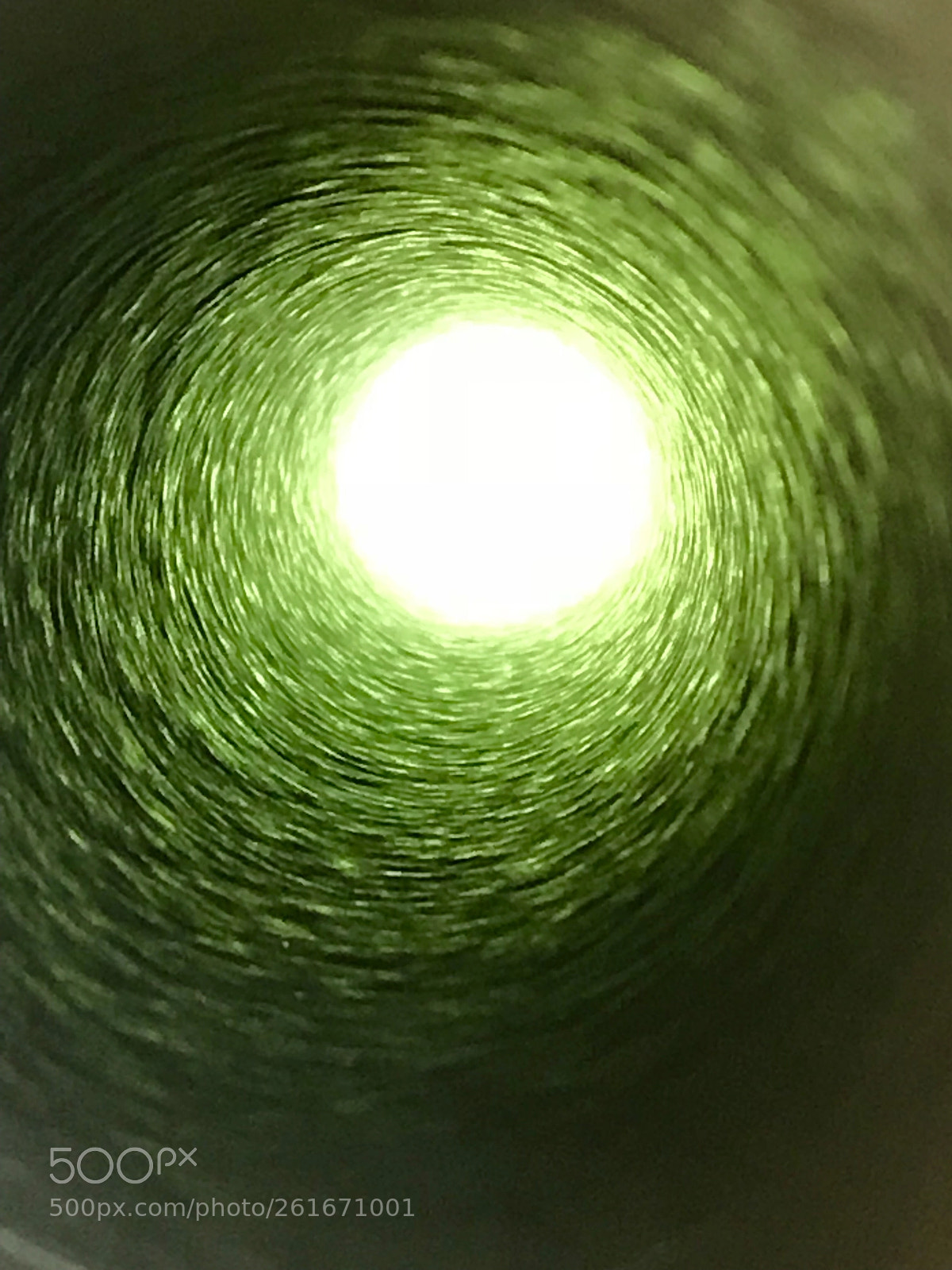 Apple iPhone 7 sample photo. Green  photography