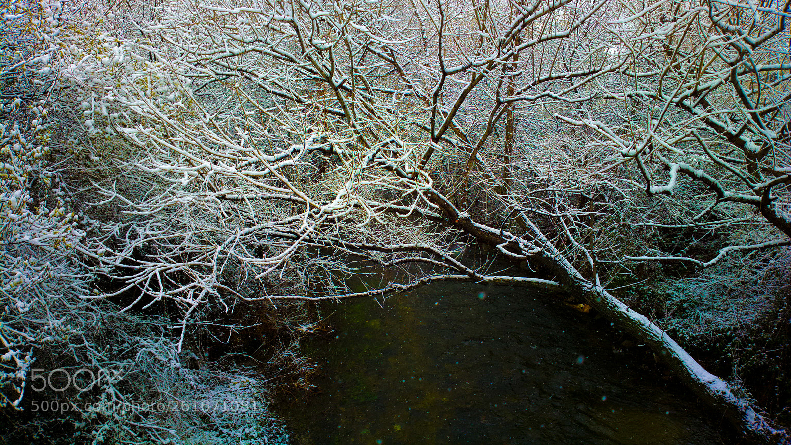 Nokia 808 PureView sample photo. Collado villalba r o photography