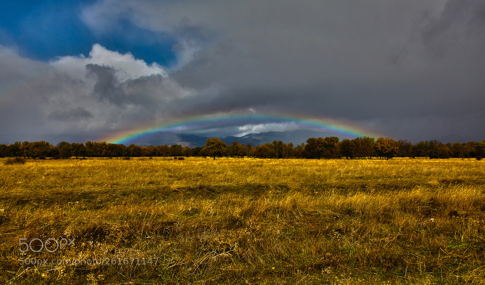 Canon EOS 5D Mark II sample photo. El campillo san lorenzo photography