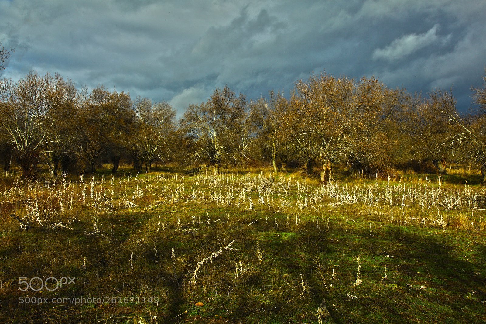 Canon EOS 5D Mark II sample photo. El campillo san lorenzo photography