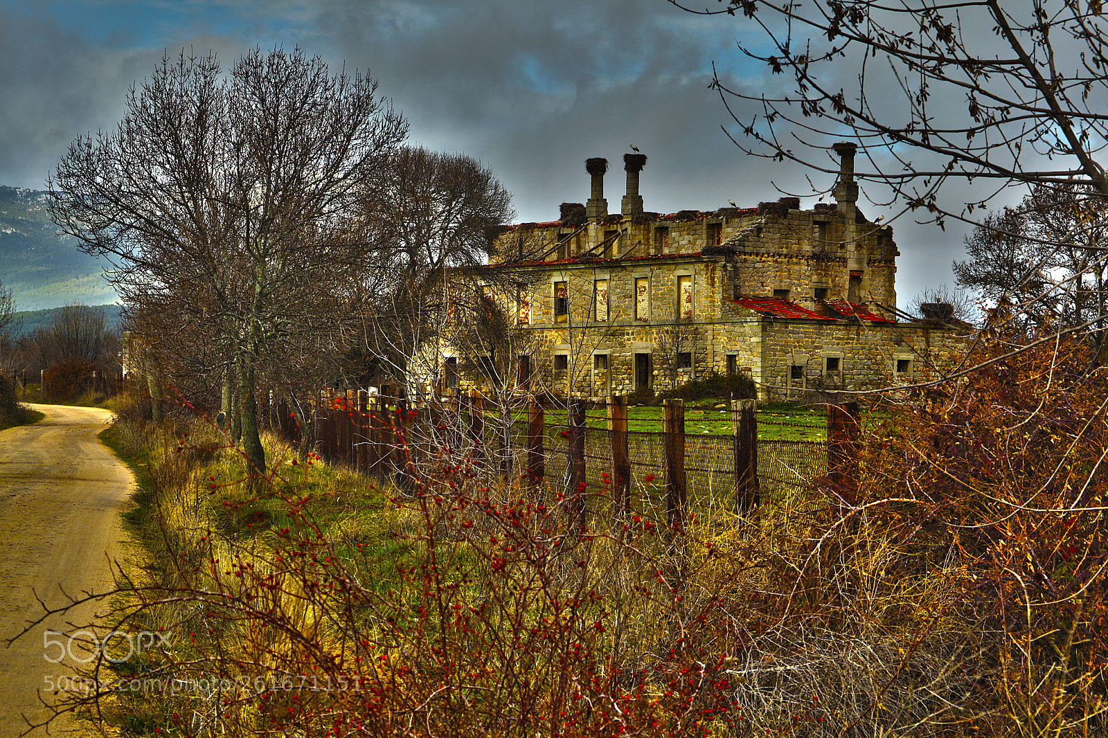 Canon EOS 5D Mark II sample photo. El campillo san lorenzo photography