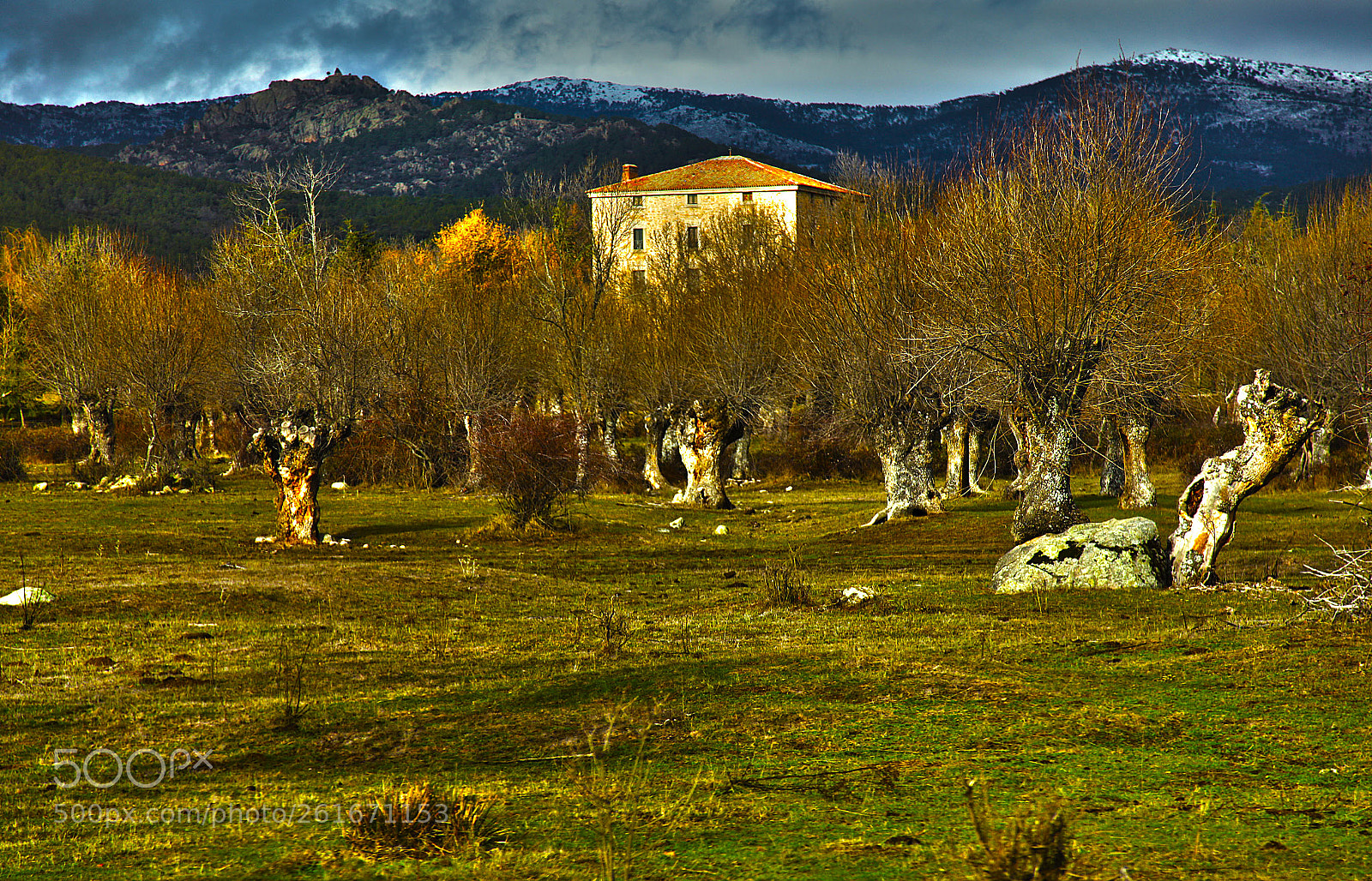 Canon EOS 5D Mark II sample photo. El campillo san lorenzo photography