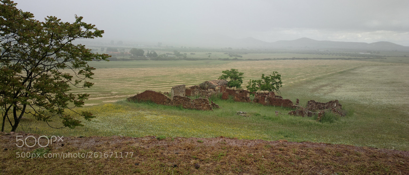 Nokia 808 PureView sample photo. Fuente el fresno ciudad photography