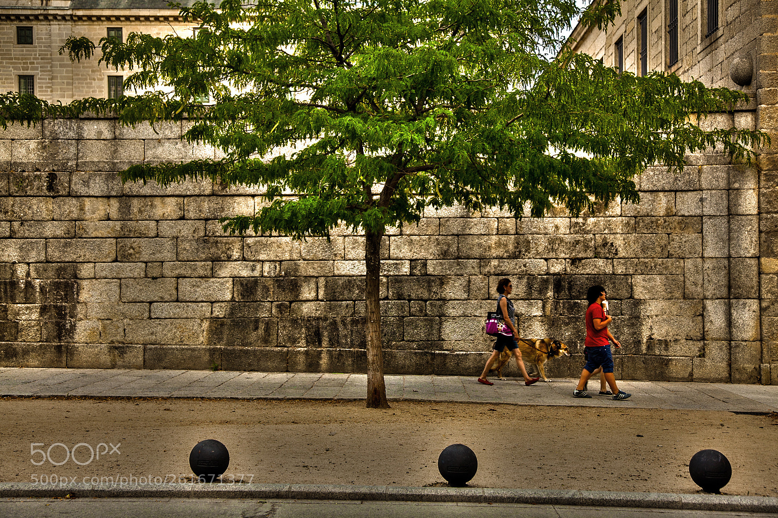 Canon EOS 5D Mark II sample photo. Monasterio de san lorenzo photography