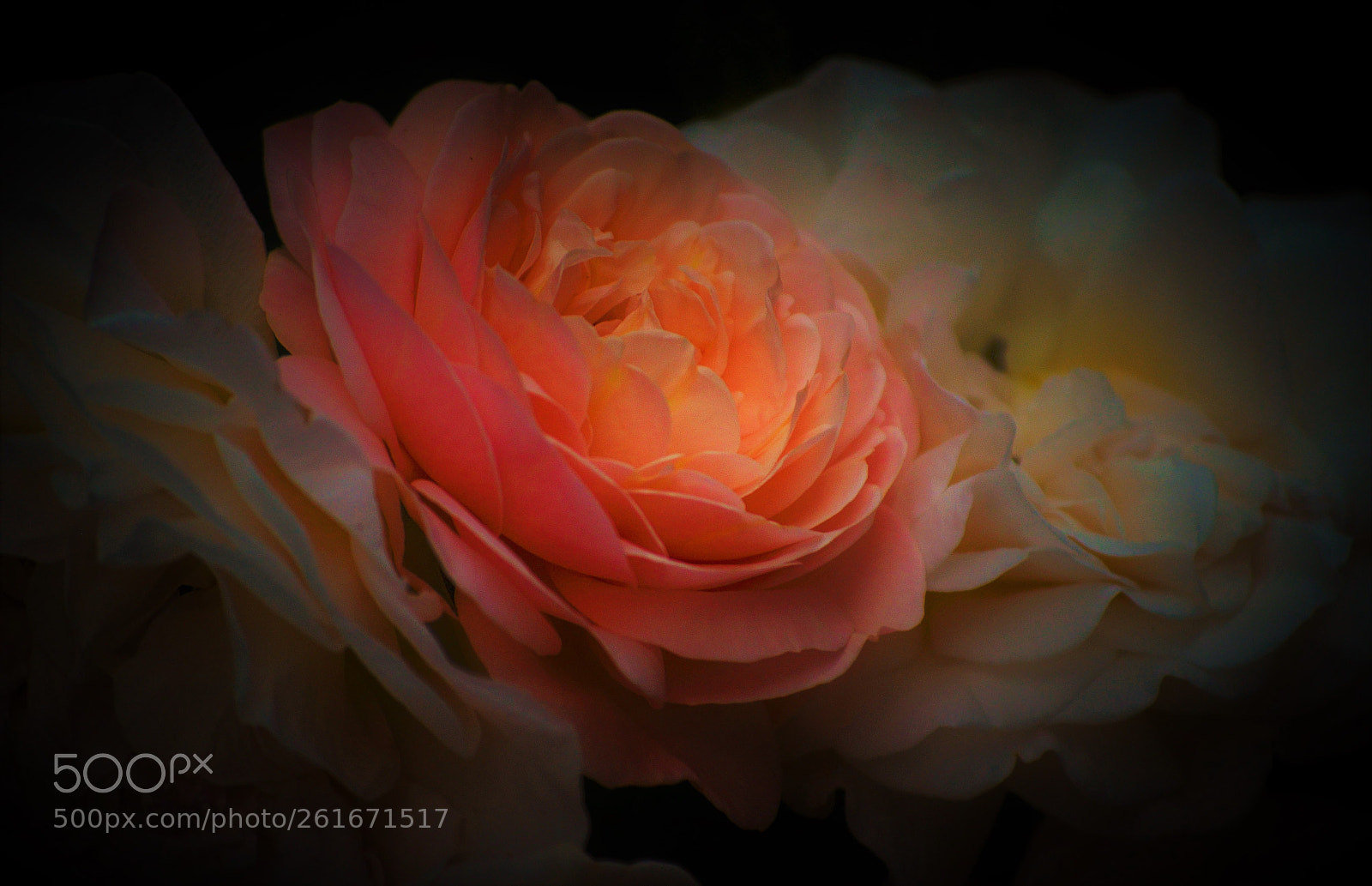 Nikon D5100 sample photo. Belle sisters photography