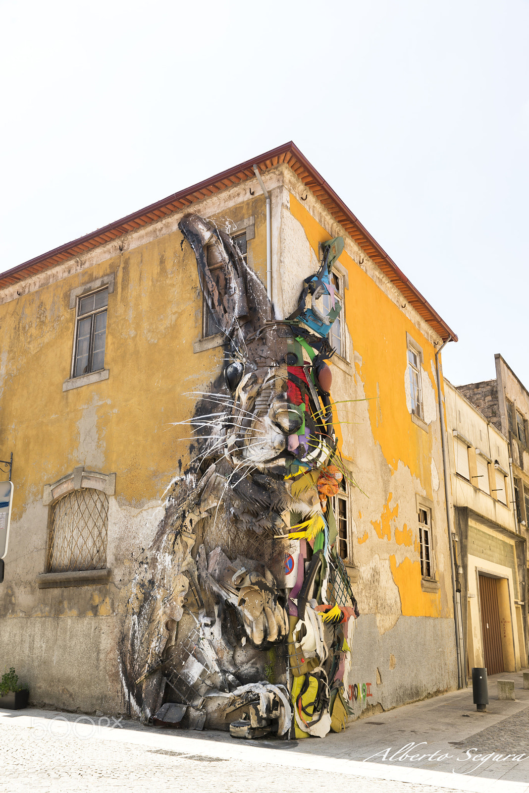 Nikon D610 sample photo. Rabit photography