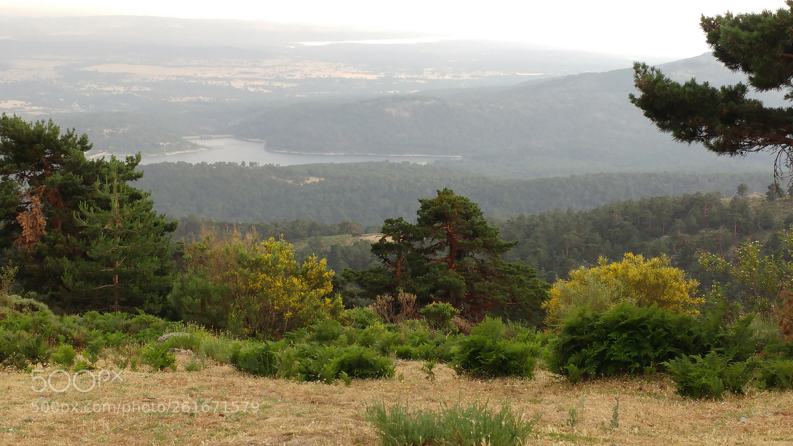 LG G5 sample photo. Sierra de guadarrama collado photography