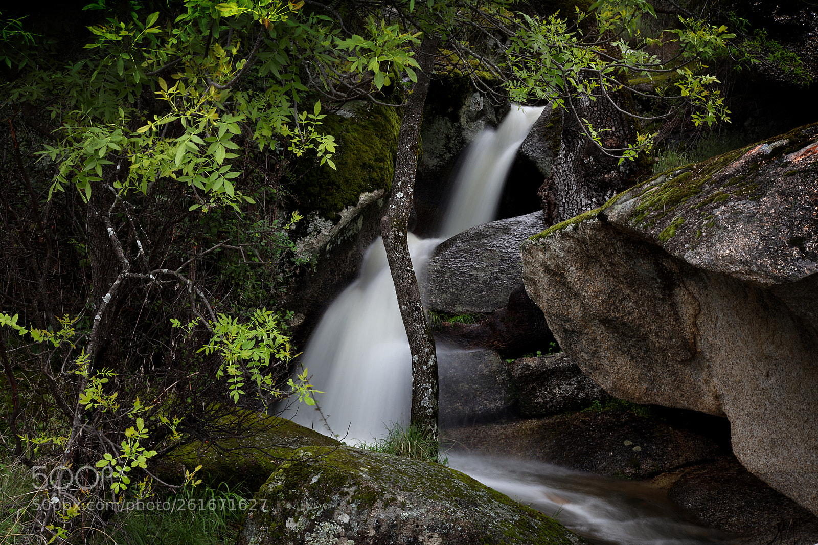 Canon EOS 5D Mark II sample photo. Sierra del hoyo comunidad photography