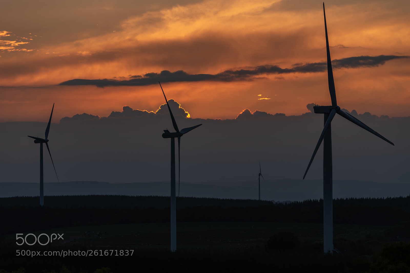 Nikon D750 sample photo. Countryside near blackridge  photography