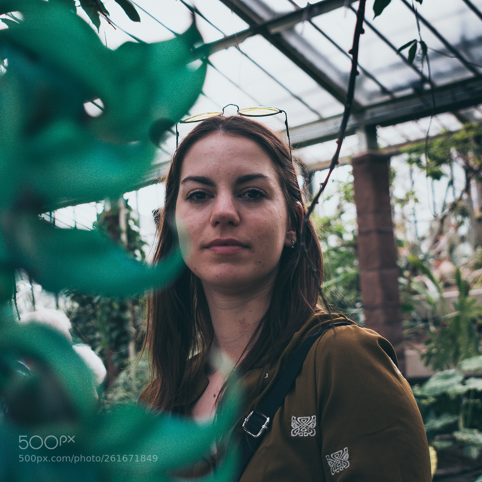 Nikon D3400 sample photo. Lost in kew gardens photography