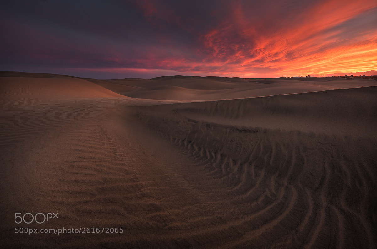 Nikon D810 sample photo. Desert sunset photography