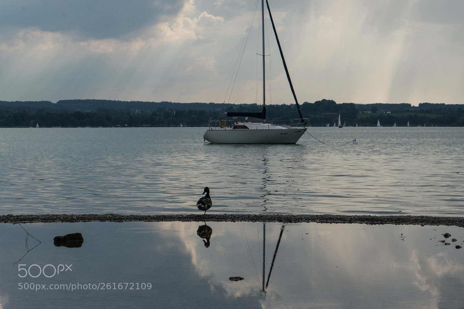 Panasonic Lumix DMC-LX10 (Lumix DMC-LX15) sample photo. Ente an segelboot photography