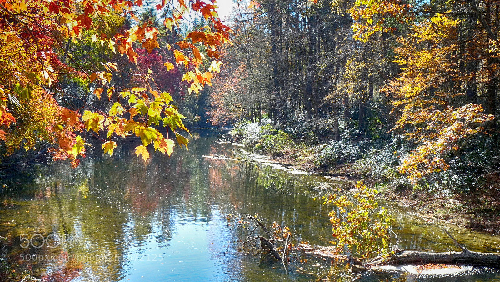 Panasonic Lumix DMC-FZ28 sample photo. Fall colors at the photography