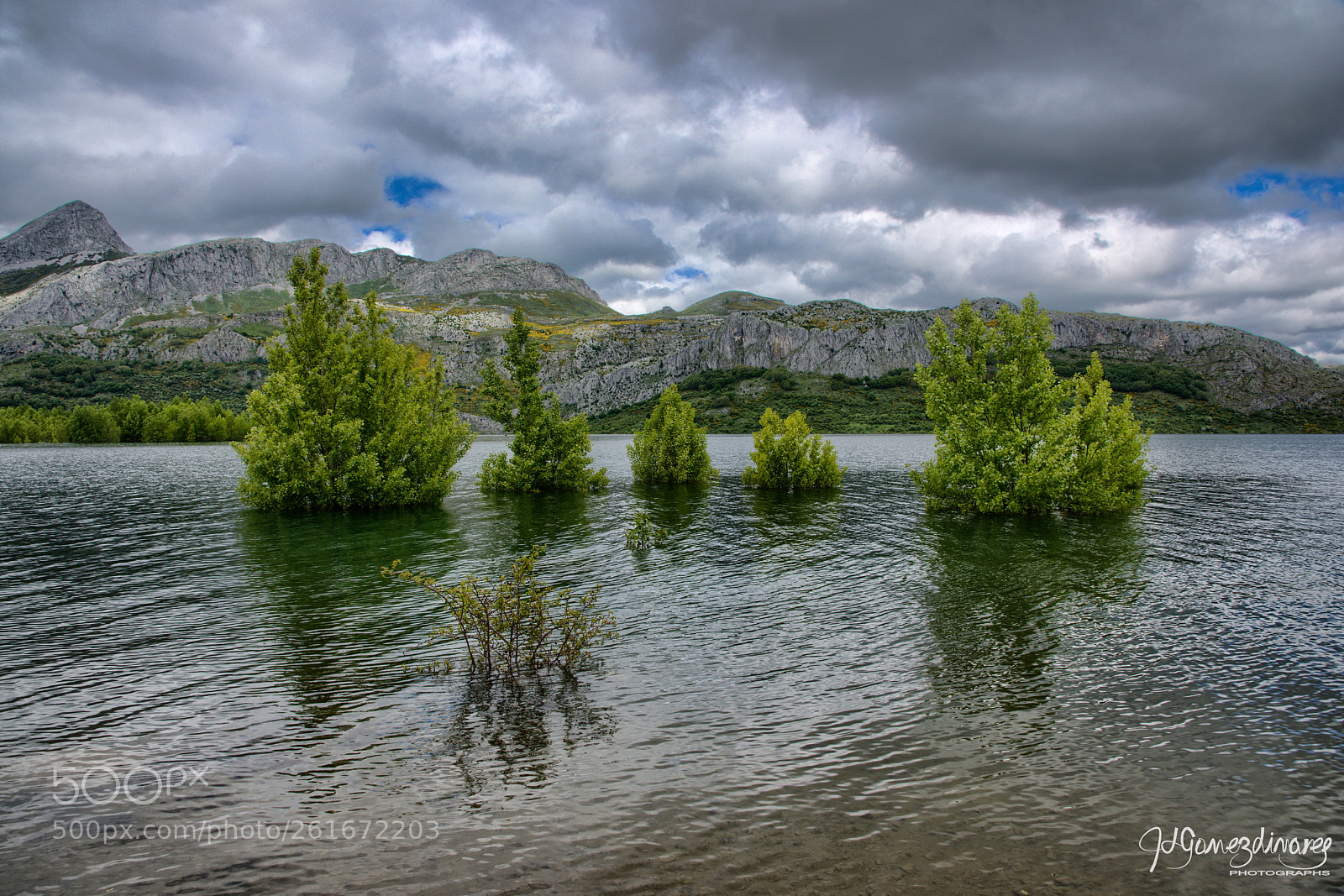 Nikon D810 sample photo. Nacidos del agua photography