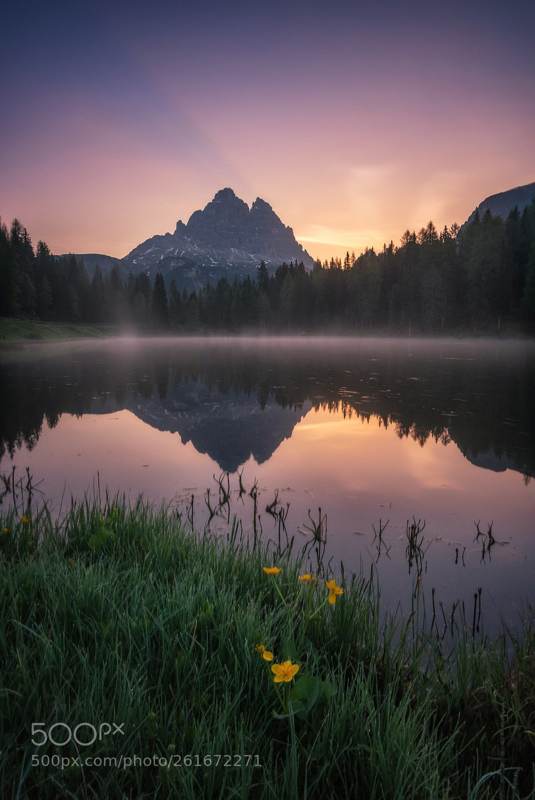 Nikon D750 sample photo. Misty sunrise photography