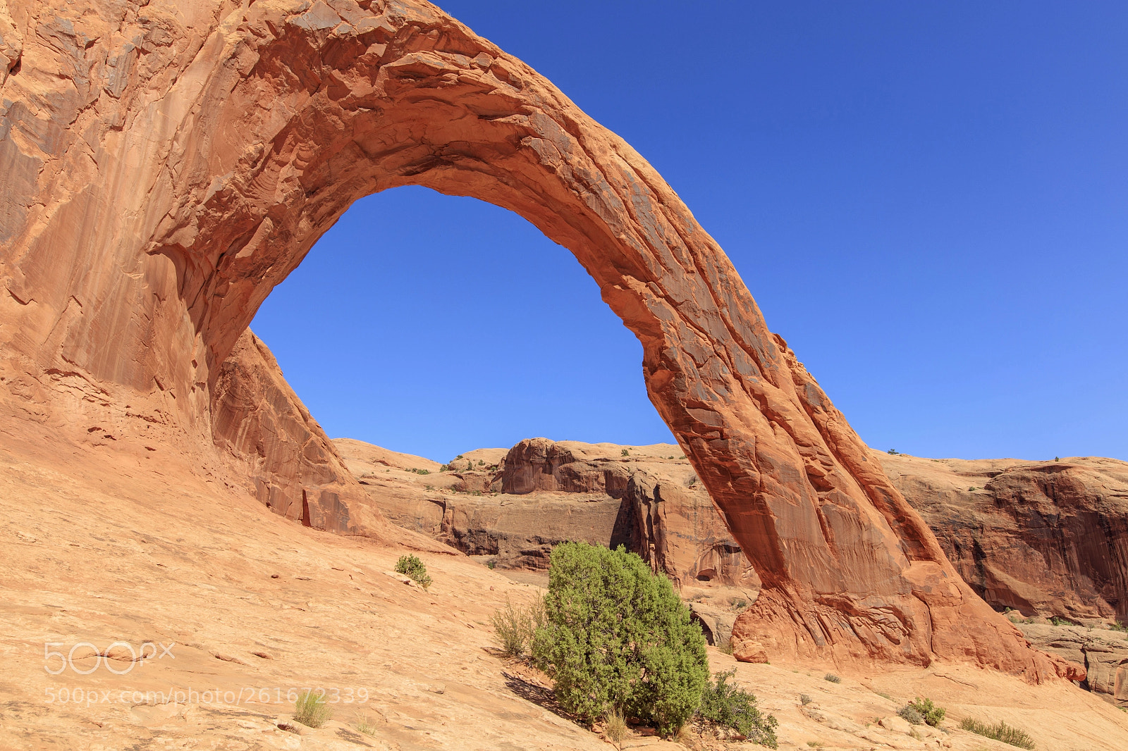 Canon EOS 5DS sample photo. Arch photography
