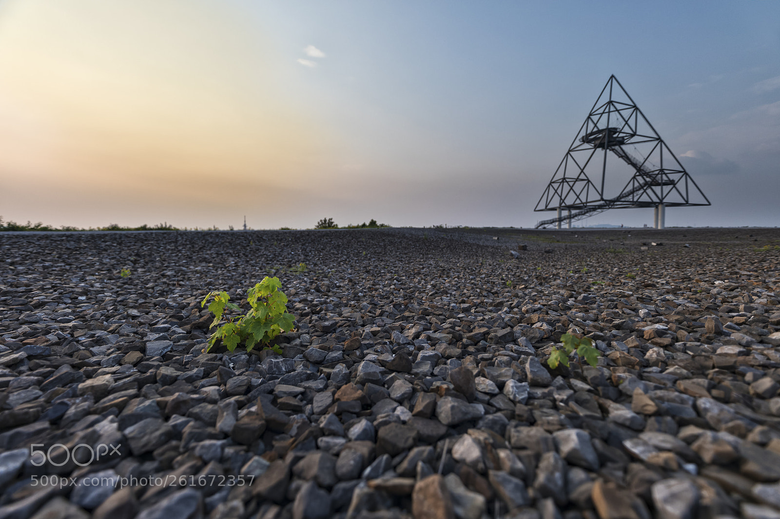 Canon EOS 5D Mark IV sample photo. Nature is ... photography