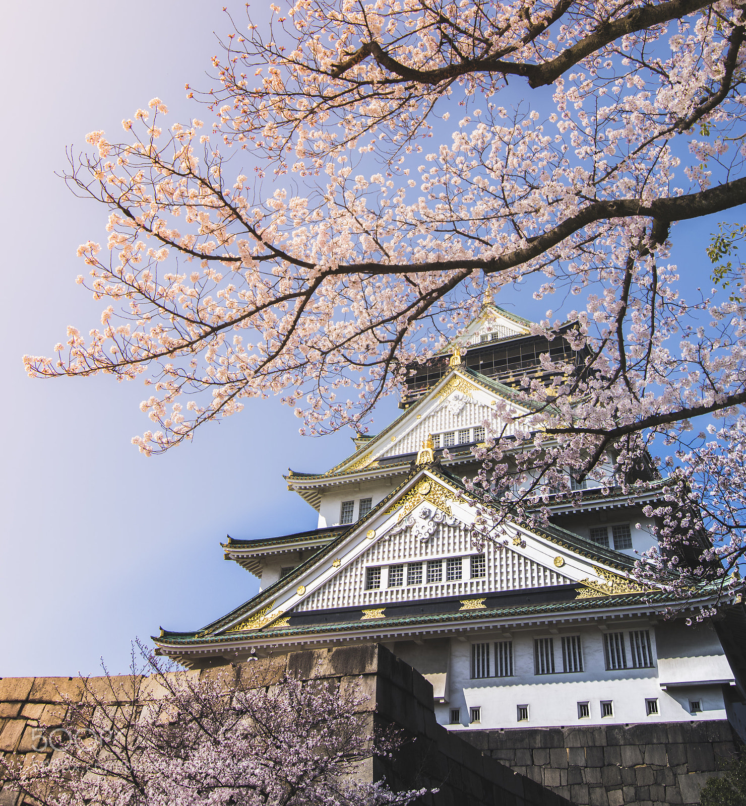 Nikon D5300 sample photo. Spring in osaka photography